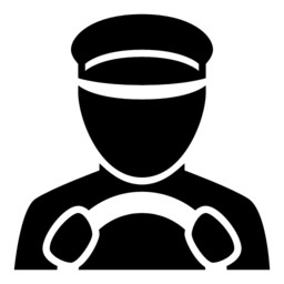 Chauffeurs professionnels